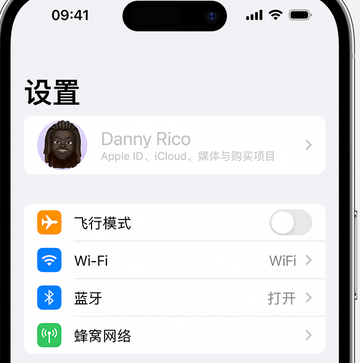 光村镇appleID维修服务iPhone设置中Apple ID显示为灰色无法使用