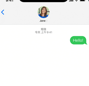 光村镇apple维修iPhone上无法正常发送iMessage信息