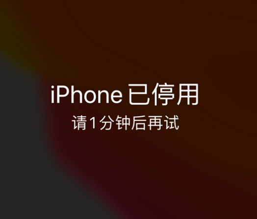 光村镇苹果手机维修分享:iPhone 显示“不可用”或“已停用”怎么办？还能保留数据吗？ 