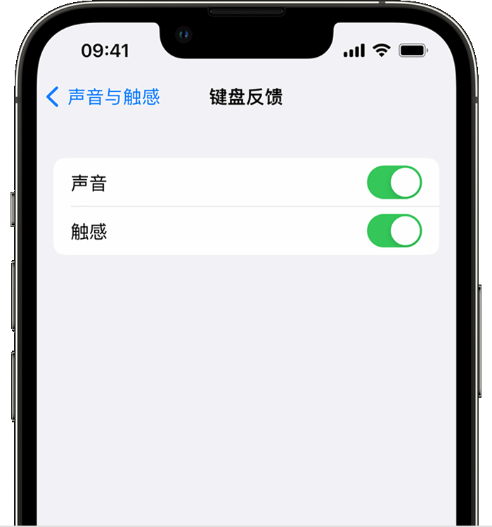 光村镇苹果14维修店分享如何在 iPhone 14 机型中使用触感键盘 