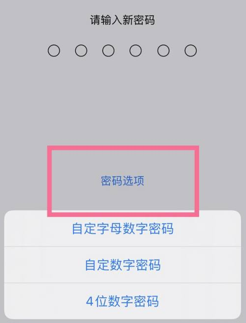 光村镇苹果14维修分享iPhone 14plus设置密码的方法 