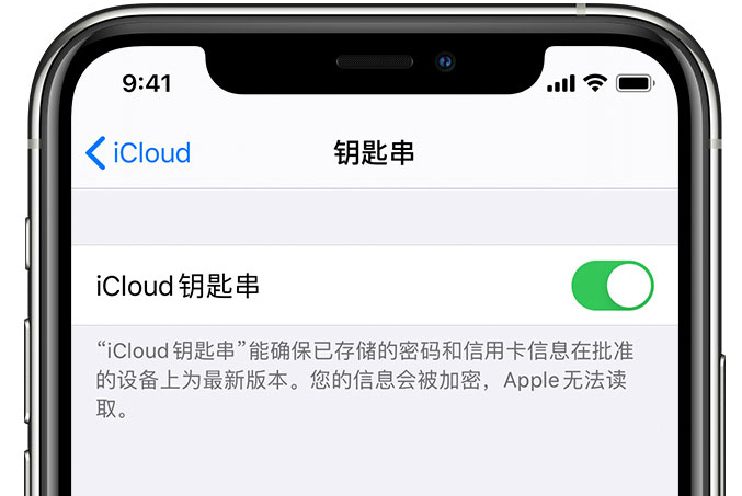 光村镇苹果手机维修分享在 iPhone 上开启 iCloud 钥匙串之后会储存哪些信息 