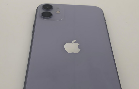 光村镇苹果11系统维修分享iPhone11手机系统崩溃无法开机如何解决 